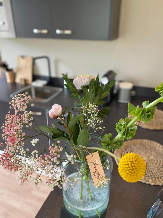 Stay-Inn Harlingen Eksteriør bilde
